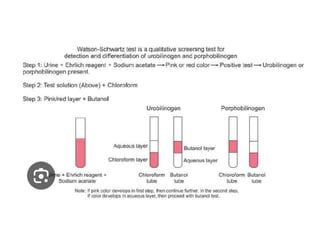 urine alaysis final biochemistry presentation