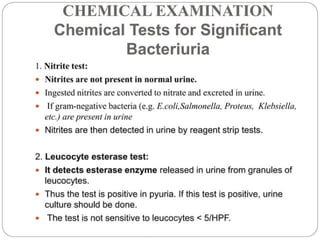 urine alaysis final biochemistry presentation