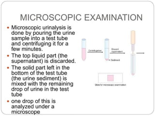 urine alaysis final biochemistry presentation