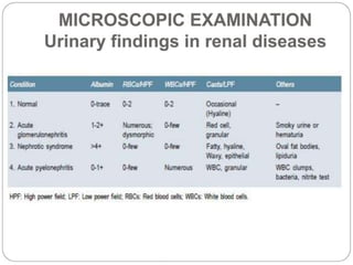 urine alaysis final biochemistry presentation