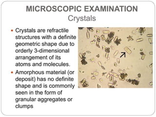 urine alaysis final biochemistry presentation