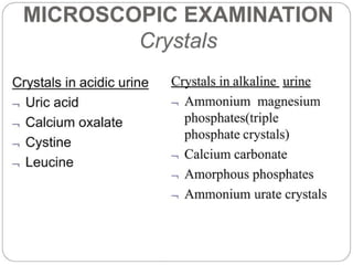 urine alaysis final biochemistry presentation