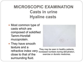 urine alaysis final biochemistry presentation