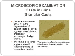 urine alaysis final biochemistry presentation