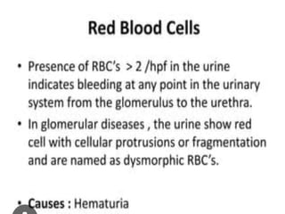urine alaysis final biochemistry presentation
