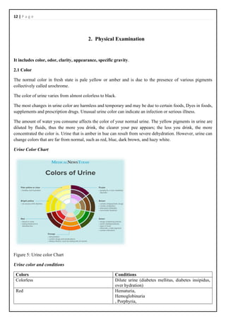 Urine Analysics Full Report -8371-M.Saihetharan.pdf