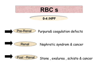 RBC s
                0-4 /HPF


Pre-Renal     Purpura& coagulation defects


  Renal        Nephretic syndrom & cancer


Post –Renal    Stone , oxalurea , schisto & cancer
 