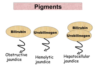 Pigments


                                 Bilirubin
  Bilirubin   Urobilinogen
                              Urobilinogen




Obstructive                  Hepatocellular
              Hemolytic
jaundice                     jaundice
              jaundice
 