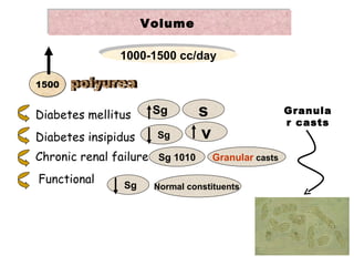 Volume

               1000-1500 cc/day

1500


Diabetes mellitus     Sg        s                    Granula
                                                     r casts
Diabetes insipidus    Sg        v
Chronic renal failure Sg 1010       Granular casts

Functional      Sg    Normal constituents
 