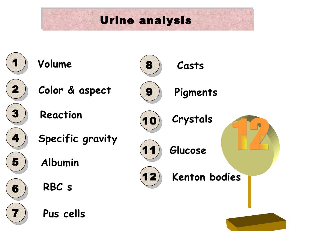 Urine analysis