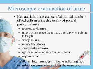 Microscopic examination of urine
• Hematuria is the presence of abnormal numbers
of red cells in urine due to any of several
possible causes.
– glomerular damage,
– tumors which erode the urinary tract anywhere along
its length,
– kidney trauma,
– urinary tract stones,
– acute tubular necrosis,
– upper and lower urinary tract infections,
– nephrotoxins
• WBC in high numbers indicate inflammation
or infection somewhere along the urinary or
 