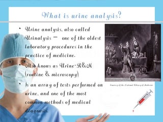 Urine R M Test urine analysis-13526382137564.pdf full notes | PDF