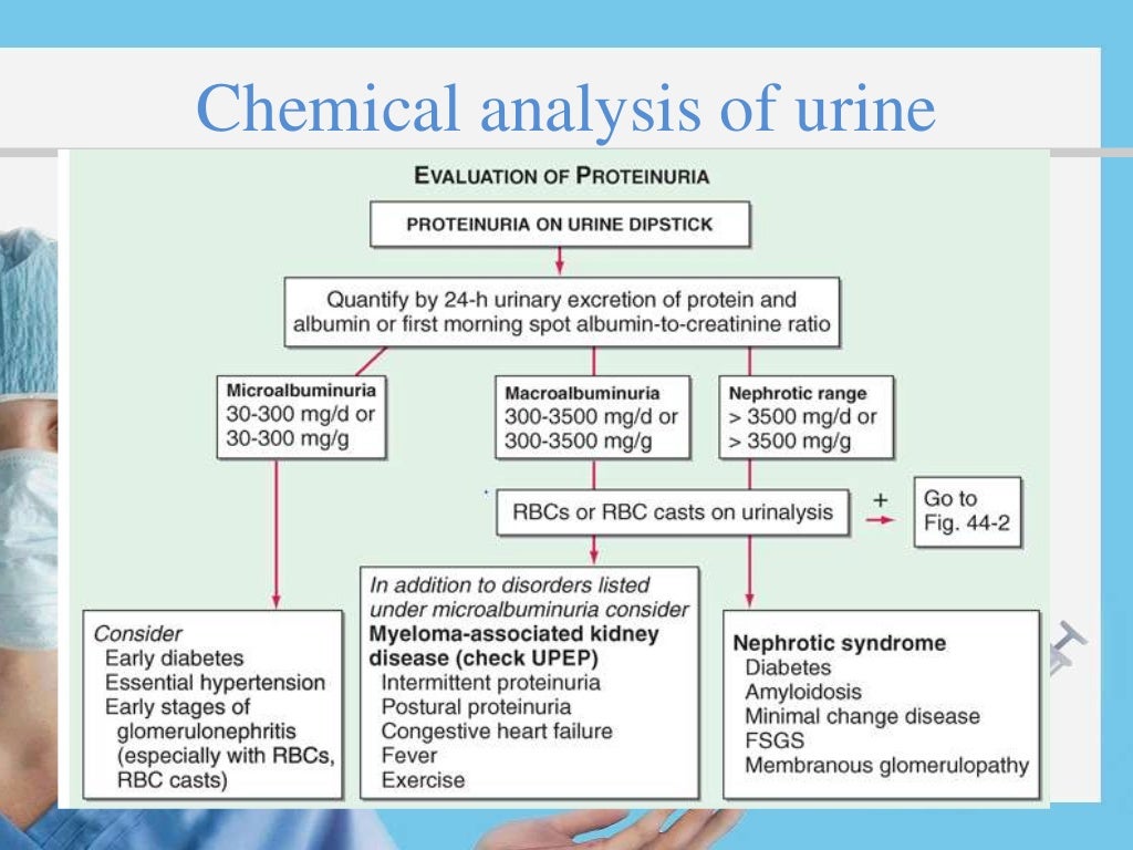 research paper on urine analysis