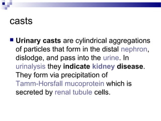 casts
 Urinary casts are cylindrical aggregations
of particles that form in the distal nephron,
dislodge, and pass into the urine. In
urinalysis they indicate kidney disease.
They form via precipitation of
Tamm-Horsfall mucoprotein which is
secreted by renal tubule cells.
 