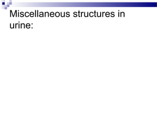 Miscellaneous structures in
urine:
 