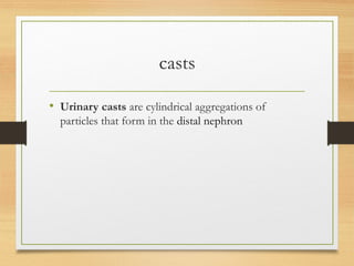casts
• Urinary casts are cylindrical aggregations of
particles that form in the distal nephron
 