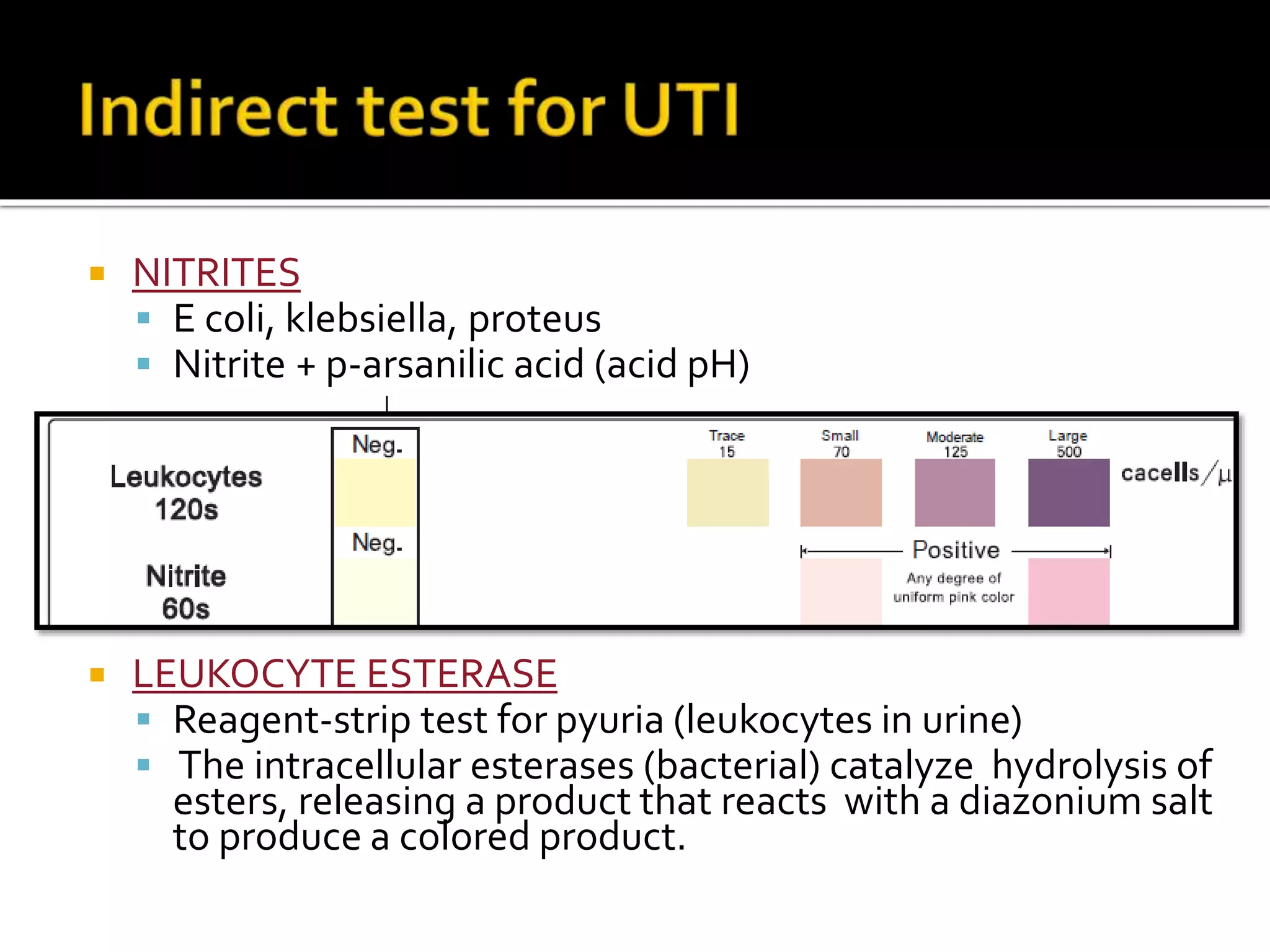  NITRITES
 E coli, klebsiella, proteus
 Nitrite + p-arsanilic acid (acid pH)
diazonium salt + benzoquinoline (PINK COLOR)
culture
 LEUKOCYTE ESTERASE
 Reagent-strip test for pyuria (leukocytes in urine)
 The intracellular esterases (bacterial) catalyze hydrolysis of
esters, releasing a product that reacts with a diazonium salt
to produce a colored product.
 