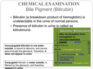Urine analysis | PPTX
