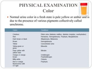PHYSICAL EXAMINATION
Color
 Normal urine color in a fresh state is pale yellow or amber and is
due to the presence of var...