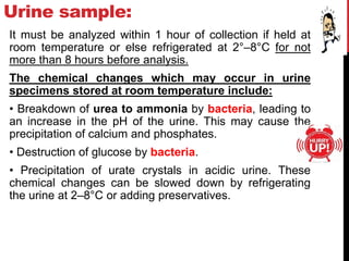 Urine sample:
It must be analyzed within 1 hour of collection if held at
room temperature or else refrigerated at 2°–8°C for not
more than 8 hours before analysis.
The chemical changes which may occur in urine
specimens stored at room temperature include:
• Breakdown of urea to ammonia by bacteria, leading to
an increase in the pH of the urine. This may cause the
precipitation of calcium and phosphates.
• Destruction of glucose by bacteria.
• Precipitation of urate crystals in acidic urine. These
chemical changes can be slowed down by refrigerating
the urine at 2–8°C or adding preservatives.
 