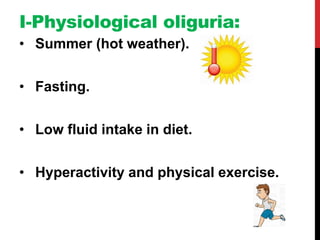 I-Physiological oliguria:
• Summer (hot weather).
• Fasting.
• Low fluid intake in diet.
• Hyperactivity and physical exercise.
 