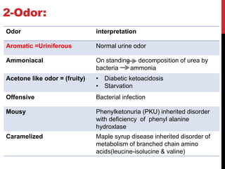 2-Odor:
Odor interpretation
Aromatic =Uriniferous Normal urine odor
Ammoniacal On standing decomposition of urea by
bacteria ammonia
Acetone like odor = (fruity) • Diabetic ketoacidosis
• Starvation
Offensive Bacterial infection
Mousy Phenylketonuria (PKU) inherited disorder
with deficiency of phenyl alanine
hydroxlase
Caramelized Maple syrup disease inherited disorder of
metabolism of branched chain amino
acids(leucine-isolucine & valine)
 