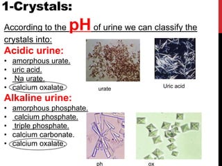 1-Crystals:
According to the pHof urine we can classify the
crystals into:
Acidic urine:
• amorphous urate.
• uric acid.
• Na urate.
• calcium oxalate.
Alkaline urine:
• amorphous phosphate.
• calcium phosphate.
• triple phosphate.
• calcium carbonate.
• calcium oxalate.
ox
ph
urate Uric acid
 