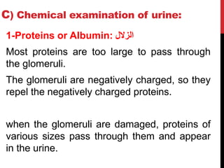 C) Chemical examination of urine:
1-Proteins or Albumin: ‫الزالل‬
Most proteins are too large to pass through
the glomeruli.
The glomeruli are negatively charged, so they
repel the negatively charged proteins.
when the glomeruli are damaged, proteins of
various sizes pass through them and appear
in the urine.
 
