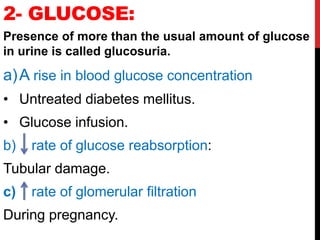 2- GLUCOSE:
Presence of more than the usual amount of glucose
in urine is called glucosuria.
a)A rise in blood glucose concentration
• Untreated diabetes mellitus.
• Glucose infusion.
b) rate of glucose reabsorption:
Tubular damage.
c) rate of glomerular filtration
During pregnancy.
 