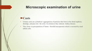 Microscopic examination of urine
Casts
• Urinary casts are cylindrical aggregations of particles that form in the distal nephron,
dislodge, and pass into the urine. In urinalysis they indicate kidney disease.
• They form via precipitation of Tamm- Horsfall mucoprotein which is secreted by renal
tubule cells.
 