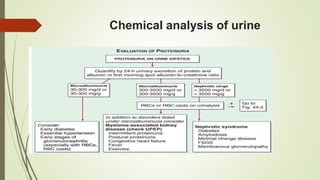 Chemical analysis of urine
 