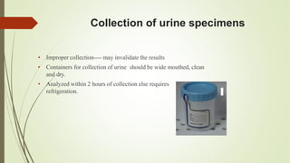 Collection of urine specimens
• Improper collection---- may invalidate the results
• Containers for collection of urine should be wide mouthed, clean
and dry.
• Analyzed within 2 hours of collection else requires
refrigeration.
 