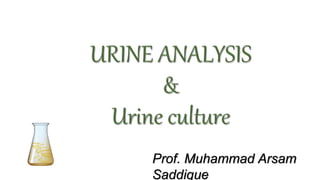 Prof. Muhammad Arsam
Saddique
 