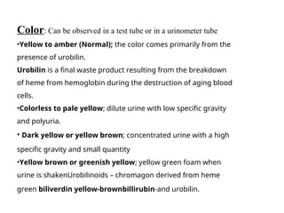 urinary analysis and test. $$&ppt bbbbbn | PPT