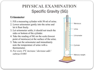 Urine Analysisvvvvvvvvvvvvvvvvvvvvv.pptx