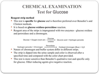 Urine Analysisvvvvvvvvvvvvvvvvvvvvv.pptx
