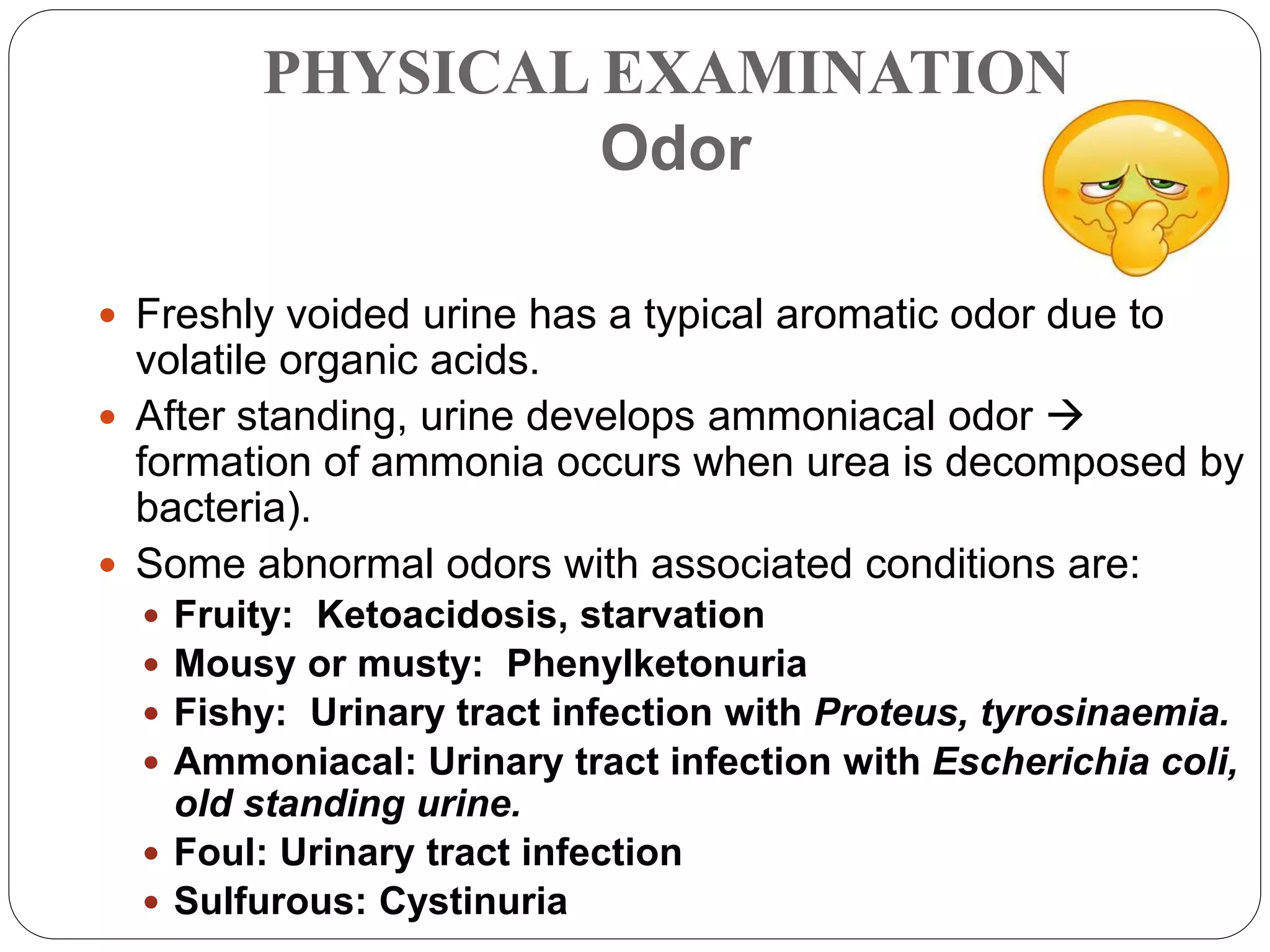 PHYSICAL EXAMINATION
Odor
 Freshly voided urine has a typical aromatic odor due to
volatile organic acids.
 After standing, urine develops ammoniacal odor 
formation of ammonia occurs when urea is decomposed by
bacteria).
 Some abnormal odors with associated conditions are:
 Fruity: Ketoacidosis, starvation
 Mousy or musty: Phenylketonuria
 Fishy: Urinary tract infection with Proteus, tyrosinaemia.
 Ammoniacal: Urinary tract infection with Escherichia coli,
old standing urine.
 Foul: Urinary tract infection
 Sulfurous: Cystinuria
 