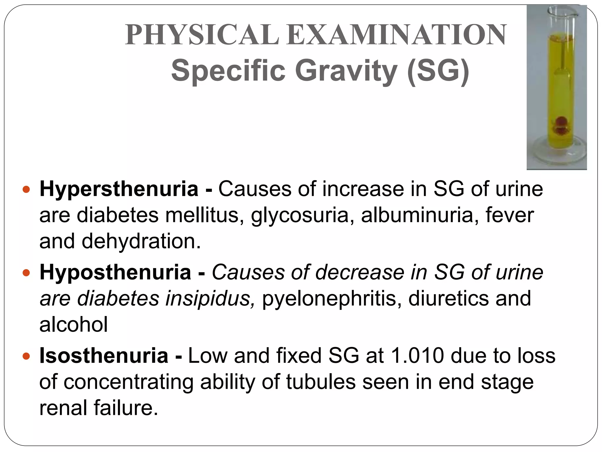 PHYSICAL EXAMINATION
Specific Gravity (SG)
 Hypersthenuria - Causes of increase in SG of urine
are diabetes mellitus, glycosuria, albuminuria, fever
and dehydration.
 Hyposthenuria - Causes of decrease in SG of urine
are diabetes insipidus, pyelonephritis, diuretics and
alcohol
 Isosthenuria - Low and fixed SG at 1.010 due to loss
of concentrating ability of tubules seen in end stage
renal failure.
 
