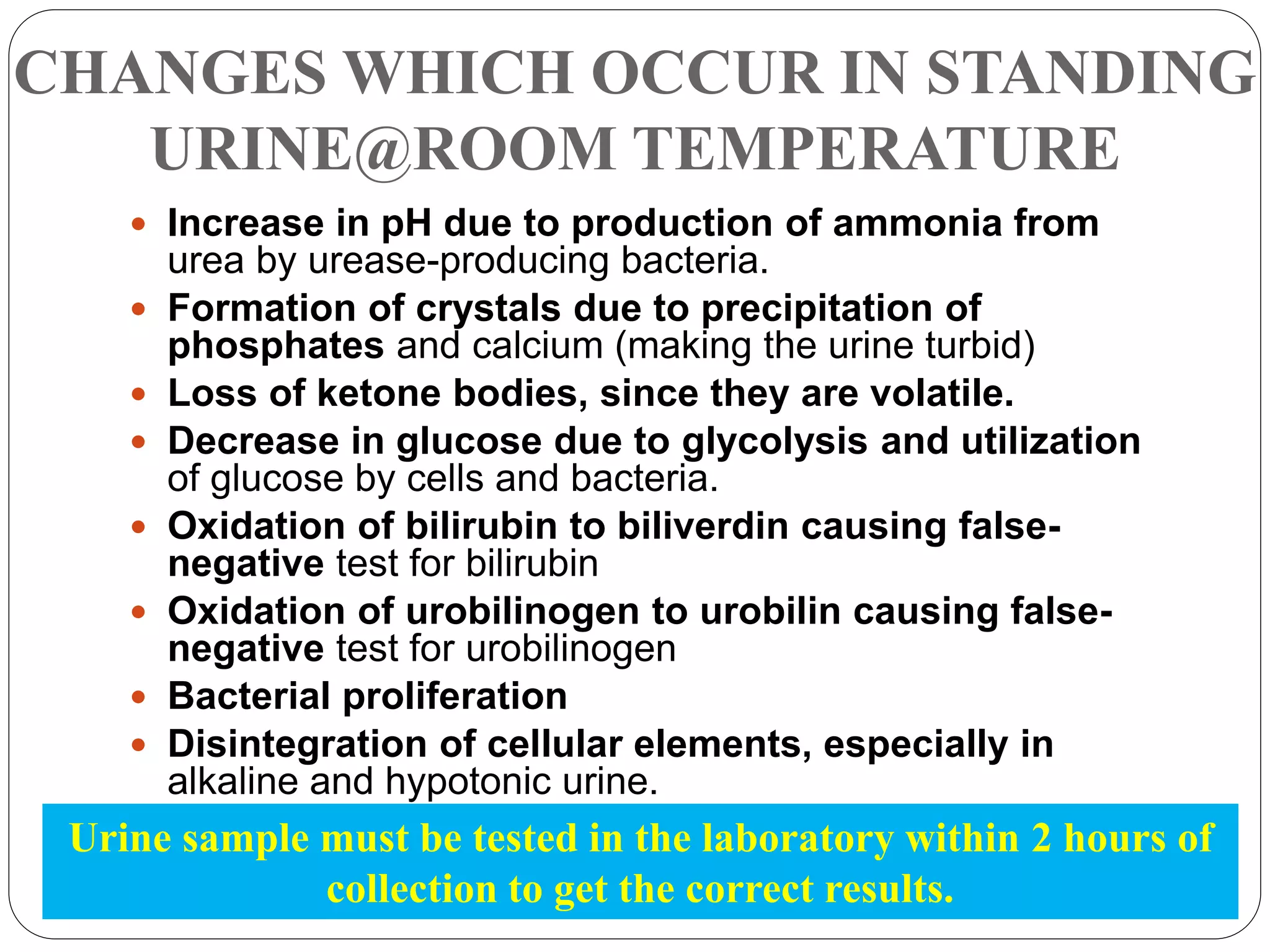 CHANGES WHICH OCCUR IN STANDING
URINE@ROOM TEMPERATURE
 Increase in pH due to production of ammonia from
urea by urease-producing bacteria.
 Formation of crystals due to precipitation of
phosphates and calcium (making the urine turbid)
 Loss of ketone bodies, since they are volatile.
 Decrease in glucose due to glycolysis and utilization
of glucose by cells and bacteria.
 Oxidation of bilirubin to biliverdin causing false-
negative test for bilirubin
 Oxidation of urobilinogen to urobilin causing false-
negative test for urobilinogen
 Bacterial proliferation
 Disintegration of cellular elements, especially in
alkaline and hypotonic urine.
Urine sample must be tested in the laboratory within 2 hours of
collection to get the correct results.
 