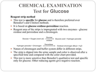 Urine analysis Class I | PPTX
