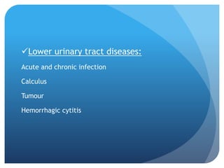Lower urinary tract diseases:
Acute and chronic infection
Calculus
Tumour
Hemorrhagic cytitis
 