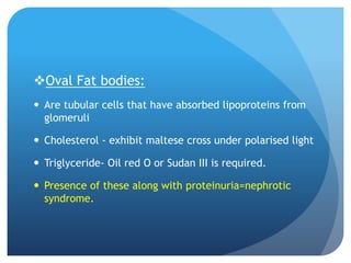 Oval Fat bodies:
 Are tubular cells that have absorbed lipoproteins from
glomeruli
 Cholesterol - exhibit maltese cross under polarised light
 Triglyceride- Oil red O or Sudan III is required.
 Presence of these along with proteinuria=nephrotic
syndrome.
 