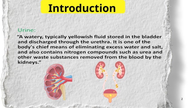 Comprehensive Introduction to Urine Analysis | PPTX