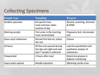 Collecting Specimens
 