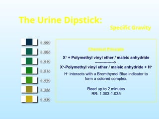 1.000
1.005
1.010
1.015
1.020
1.025
1.030
X+
+ Polymethyl vinyl ether / maleic anhydride
--------------->
X+
-Polymethyl vinyl ether / maleic anhydride + H+
H+
interacts with a Bromthymol Blue indicator to
form a colored complex.
Chemical Principle
Read up to 2 minutes
RR: 1.003-1.035
The Urine Dipstick:
Specific Gravity
 