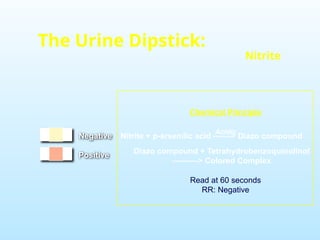 Negative
Positive
The Urine Dipstick:
Nitrite
Diazo compound + Tetrahydrobenzoquinolinol
----------> Colored Complex
Nitrite + p-arsenilic acid -------> Diazo compound
Acidic
Chemical Principle
Read at 60 seconds
RR: Negative
 