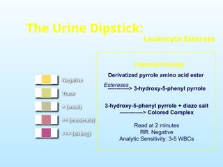 Negative
Trace
+ (weak)
++ (moderate)
+++ (strong)
The Urine Dipstick:
Leukocyte Esterase
Derivatized pyrrole amino acid ester
------------> 3-hydroxy-5-phenyl pyrrole
Esterases
3-hydroxy-5-phenyl pyrrole + diazo salt
-------------> Colored Complex
Read at 2 minutes
RR: Negative
Analytic Sensitivity: 3-5 WBCs
Chemical Principle
 