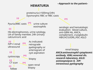 --Approach to the patient–
HEMATURIA
proteinuria (>500mg/24h)
Dysmorphic RBC or RBC casts
Pyuria,WBC casts urine culture
eosinophils serologic and hematologic
evaluation: blood culture,
anti-GBM Ab, ANCA,
complement, cryoglobulin
HBV,HCV,VDRL,HIV, ASLO
renal biopsy
Hb electrophoresis, urine cytology,
UA of family member, 24h urinary
calcium/uric acid
IVP+/-renal
ultrasound
As indicated:
retrograde
pyelography or
arteriogram of
cyst aspiration
cystoscopy
CT scan
biopsy
open renal
biopsy
follow
(-)
(-)
(-)
(-)
(-)
(-)
(+)
(+)
(+)
(+)
(+)
ANCA:antineutrophil cytoplasmic
antibody, VDRL:venereal dis.
research laboratory, ASLO:
antisteptolysin O, IVP:
intravenous pyelography
 