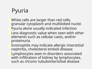 Pyuria
■White cells are larger than red cells,
granular cytoplasm and multilobed nuclei
■Pyuria alone usually indicated infection
■Less diagnostic value when seen with other
elements such as cellular casts, and/or
proteinuria
■Eosinophils may indicate allergic interstitial
nephritis, cholesterol emboli disease
■Lymphocytes seen in disorders associated
with infiltration of kidney by lymphocytes,
such as chronic tubulointerstitial disease
 