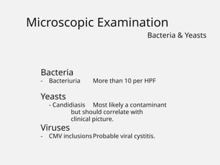 Bacteria
- Bacteriuria More than 10 per HPF
Yeasts
- Candidiasis Most likely a contaminant
but should correlate with
clinical picture.
Viruses
- CMV inclusionsProbable viral cystitis.
Microscopic Examination
Bacteria & Yeasts
 